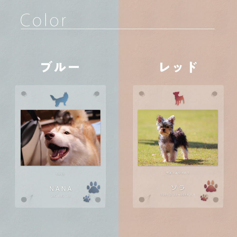 ペット フォトフレーム 犬 いぬ 文字入れ 写真立て 写真入れ わん