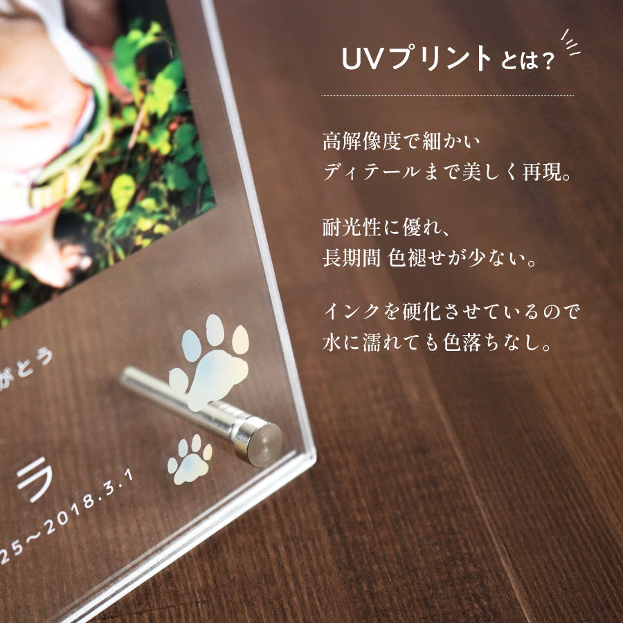ペット フォトフレーム 犬 いぬ 文字入れ 写真立て 写真入れ わん