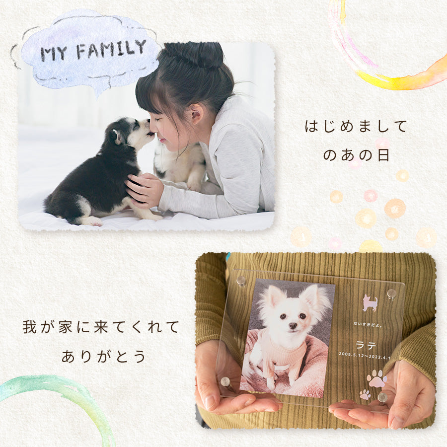 ペット フォトフレーム 犬 いぬ 文字入れ 写真立て 写真入れ わん