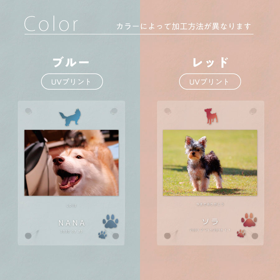 フォトフレーム 犬 いぬ ペット 文字入れ 写真立て 写真入れ わん