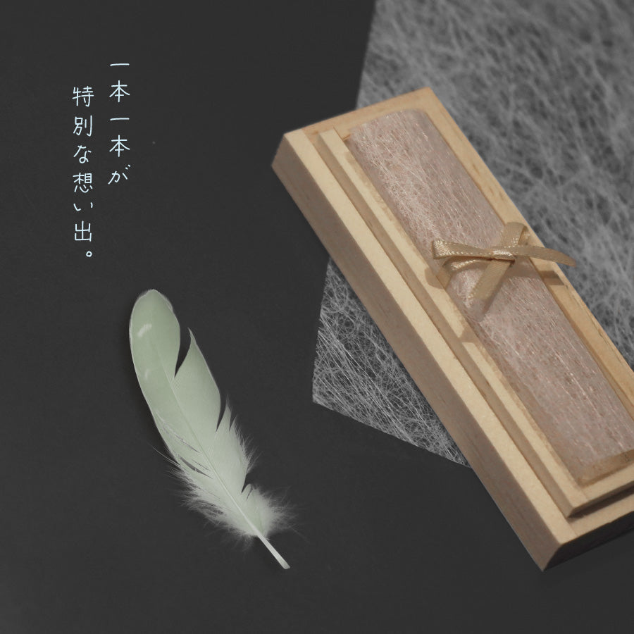 鳥の羽根・おまとめ・Kur 第1722回 鳥の羽根｜翆野 大地