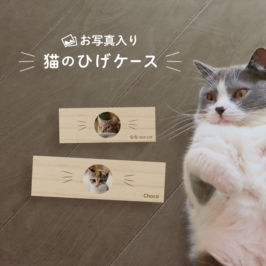 猫のひげケース – Nextore